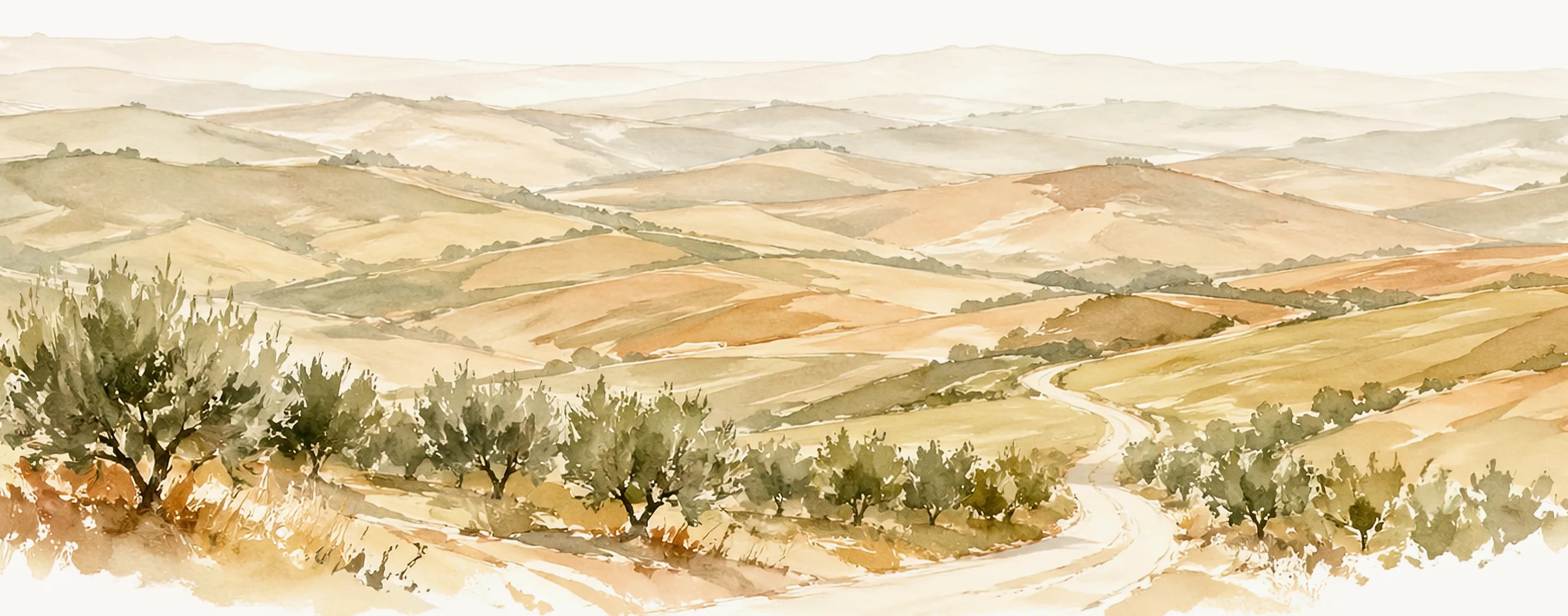 the-venue-folio-tuscany-wedding-venue-guide-hero
